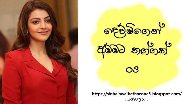 Dewmigen Ammata Thaggak | දෙව්මිගෙන් අම්මට තෑග්ගක්  03